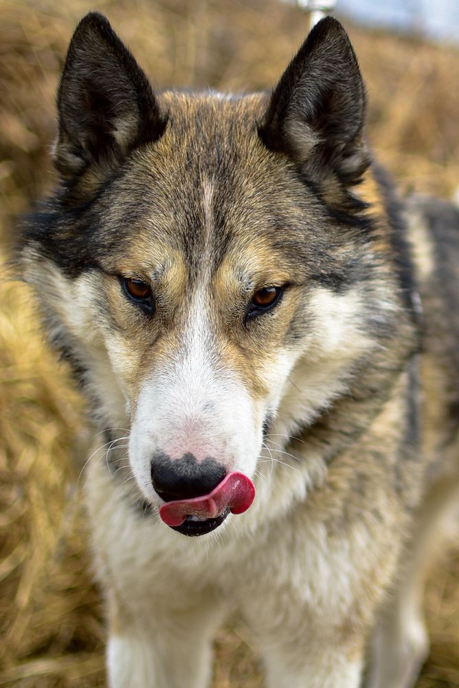 Photograph by Anna Borodina