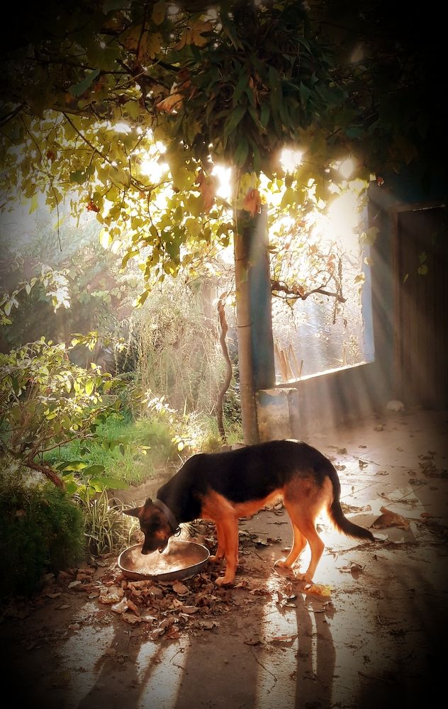 Photograph by Ricardo Kimmich