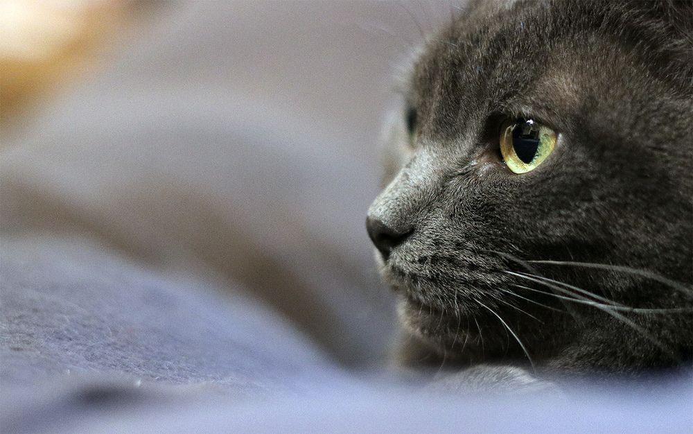 Фотография автора Сергей