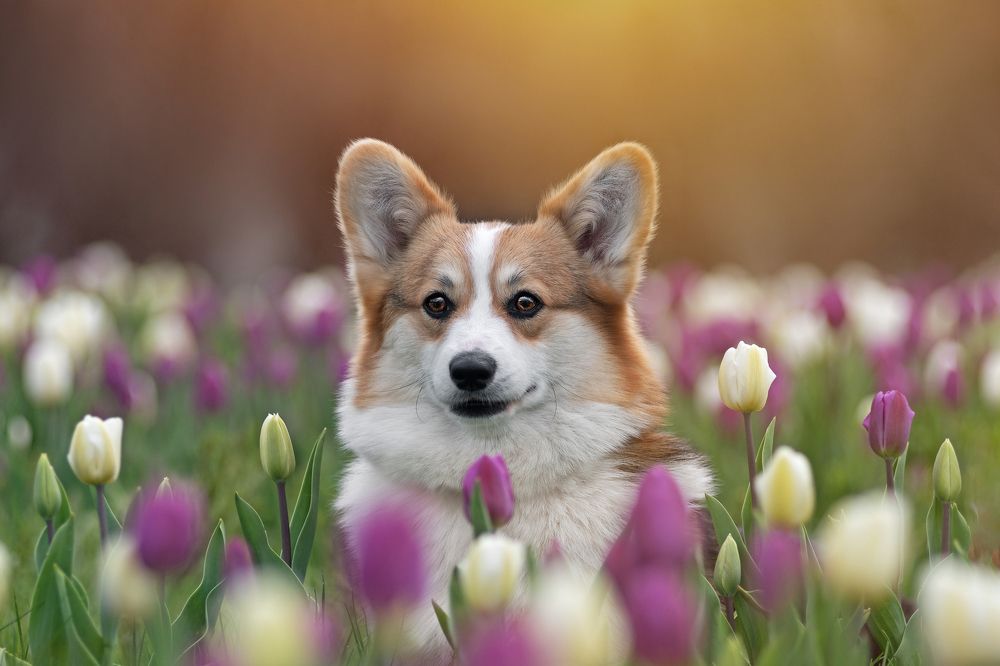 Photograph by Ольга