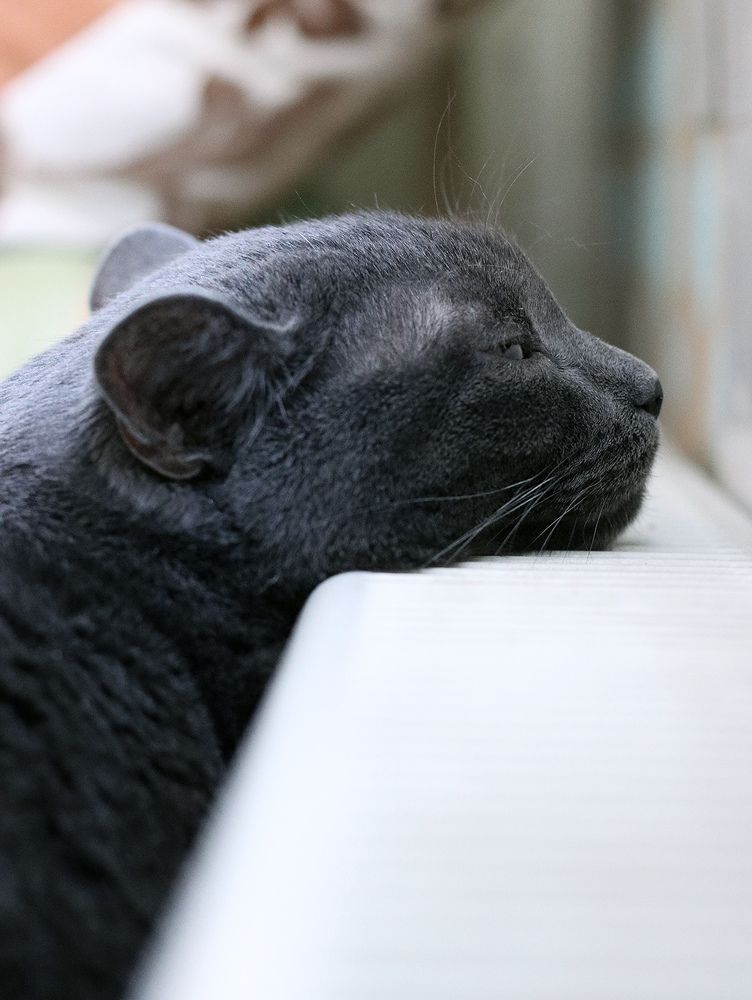 Тёплое место