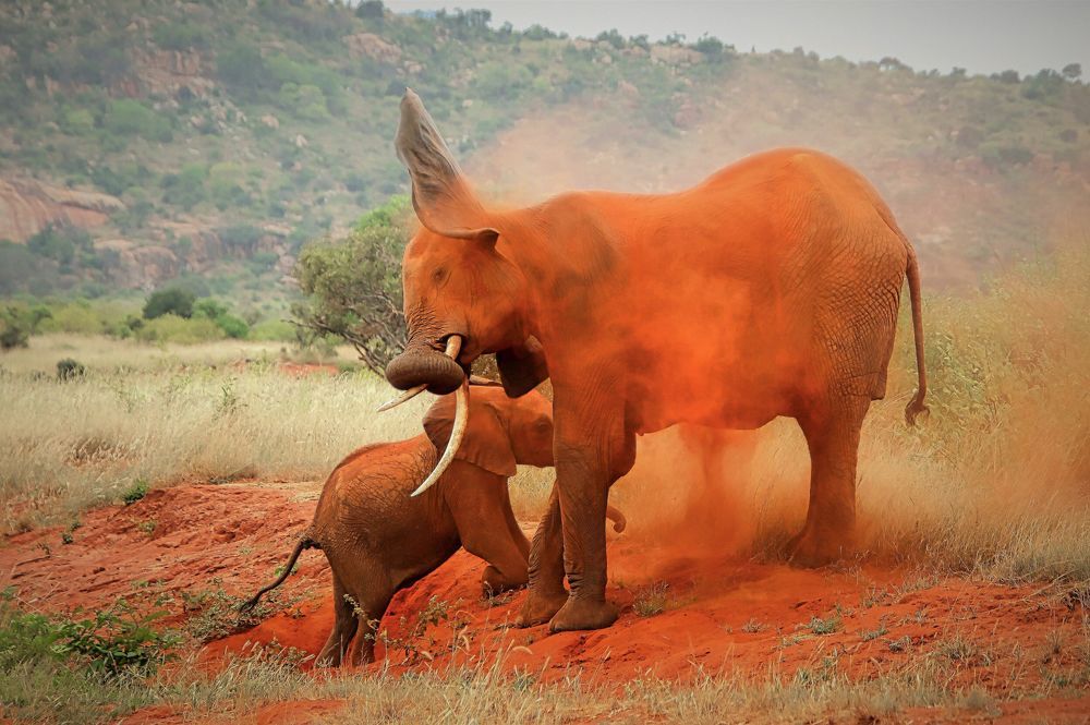 Photograph by Epp Tappel