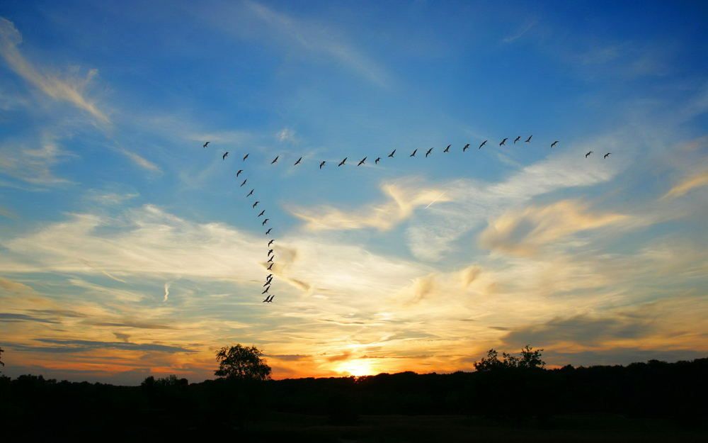 Фотография автора Сергей Сухумский