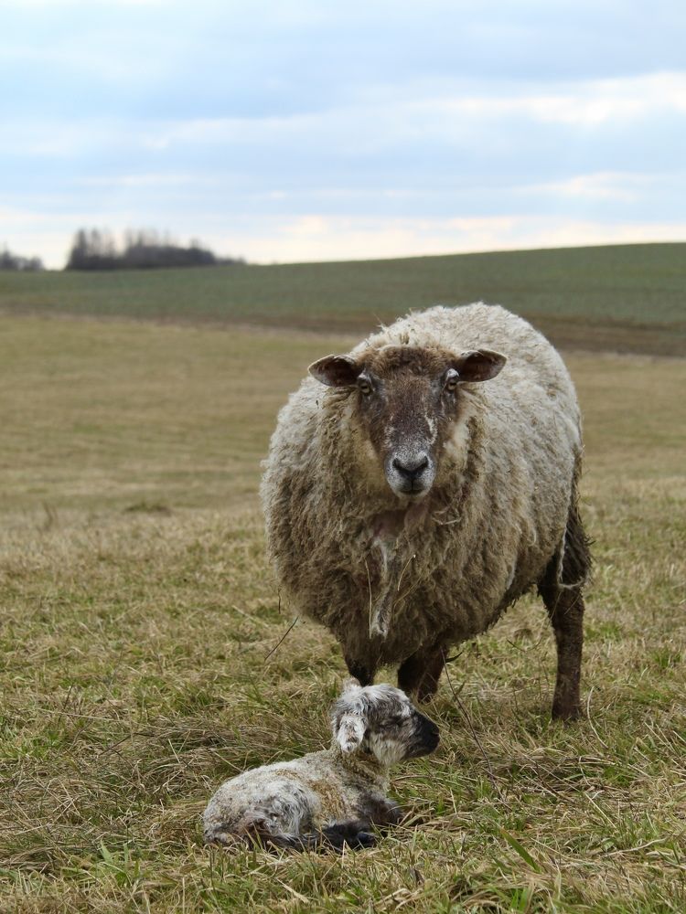 Photograph by Сусанна Аллаярова