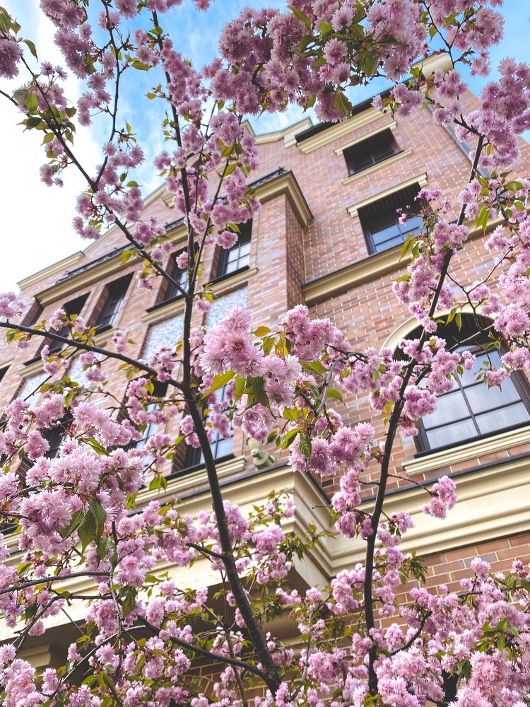 Photograph by Сусанна Аллаярова