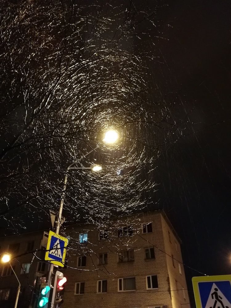 Фотография автора Закурина Маргарита