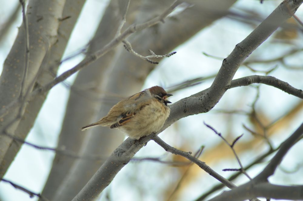 Фотография автора Закурина Маргарита