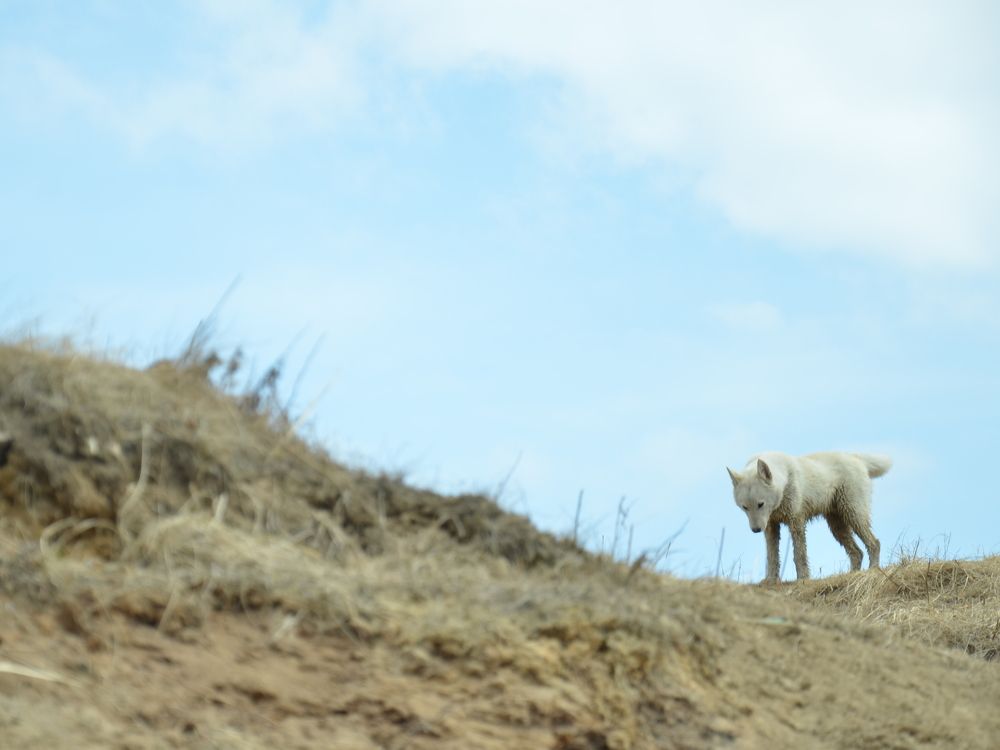 Фотография автора Закурина Маргарита
