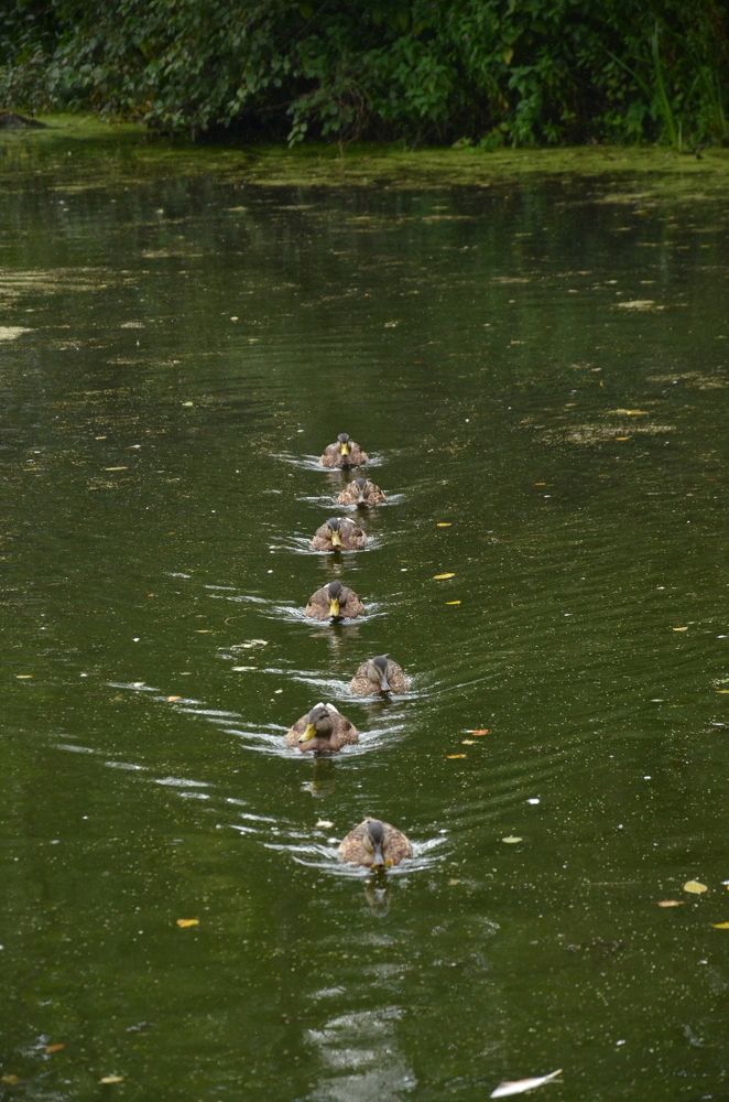 Фотография автора Закурина Маргарита