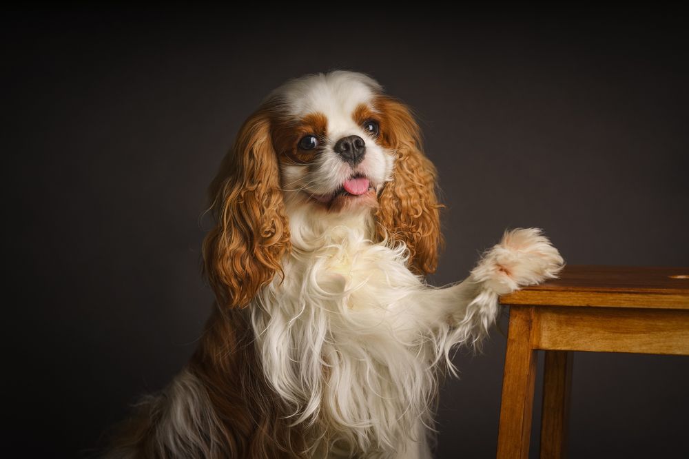 Photograph by Татьяна Предеина