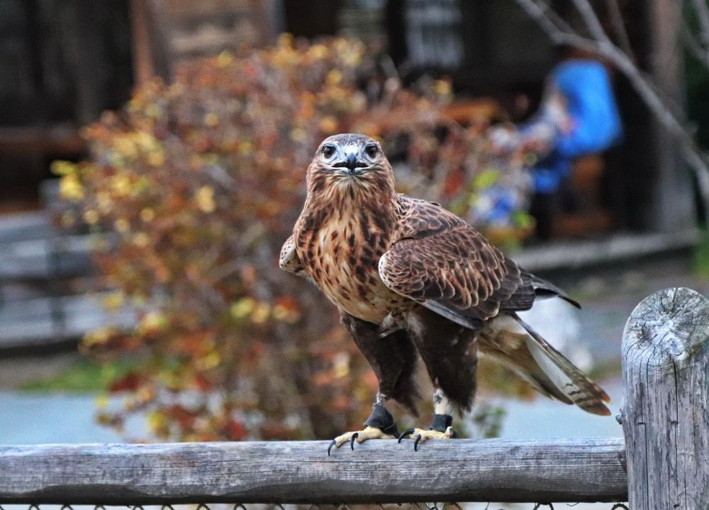 Photograph by Сергей Выржиковский
