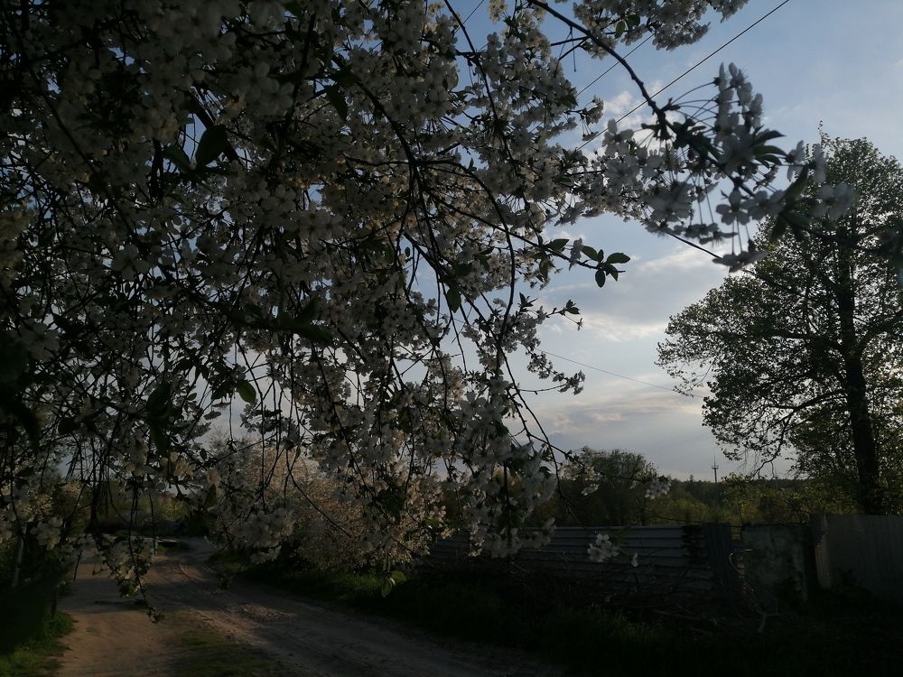 Photograph by Михаил Черкашин