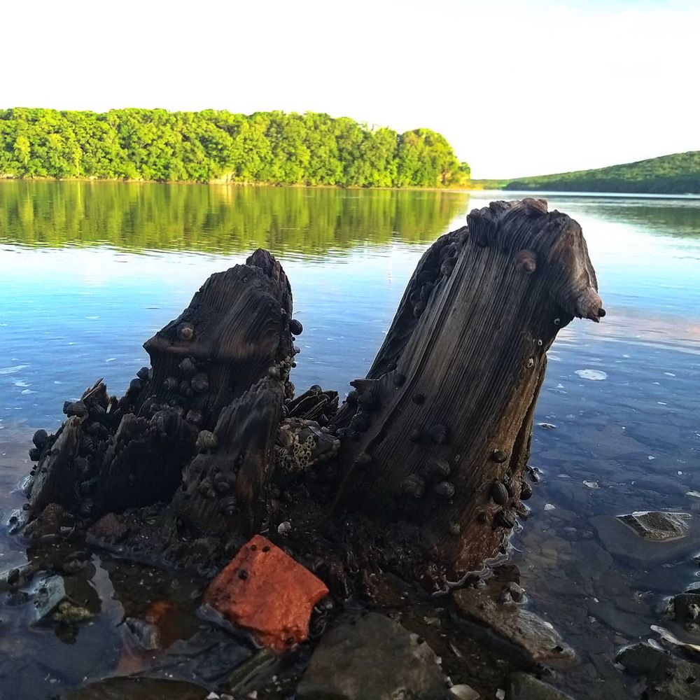 Photograph by Сергей Выржиковский