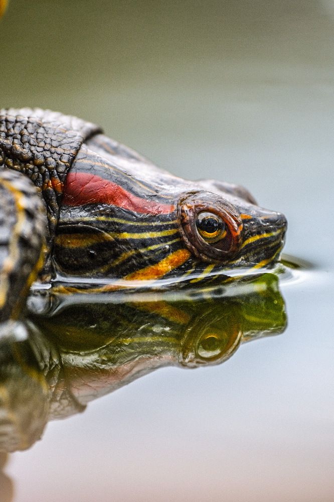 Photograph by Алексей Большаков