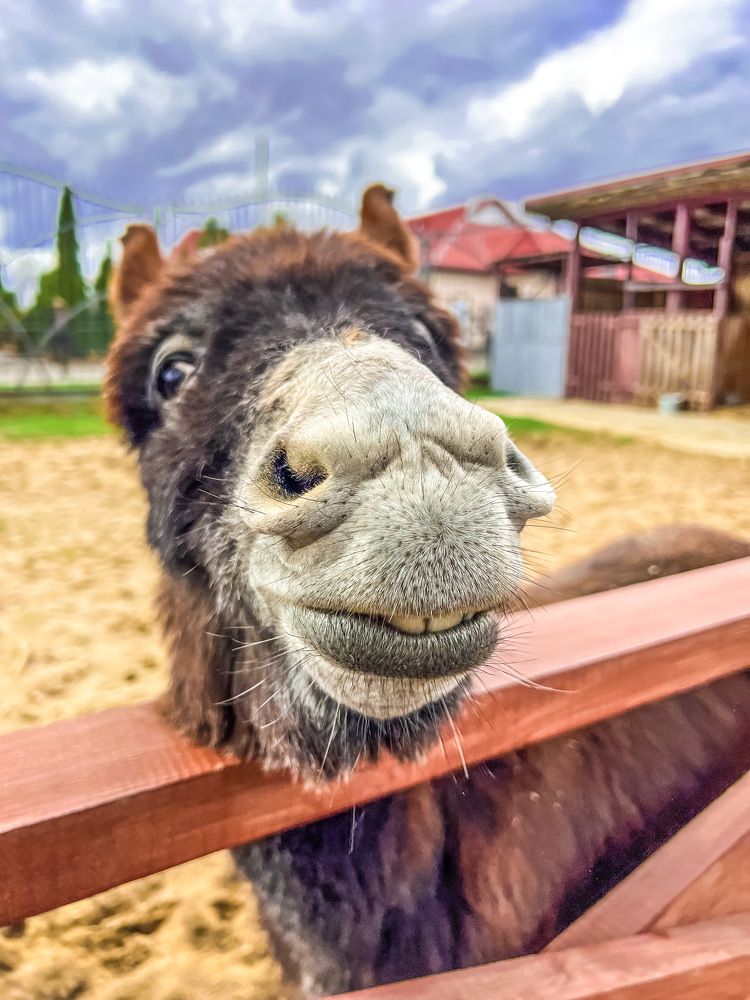 Photograph by Алексей Большаков