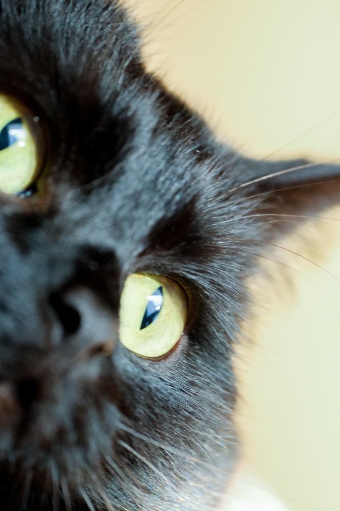 Photograph by Алексей Большаков