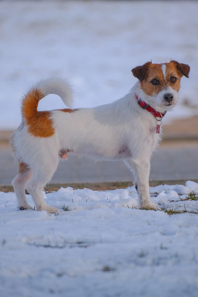 Photograph by Алексей Большаков