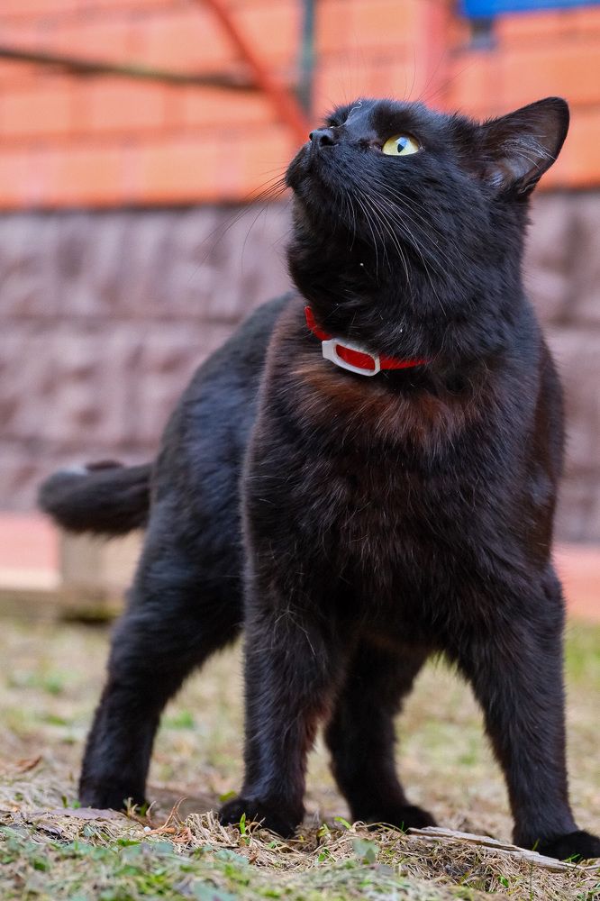 Photograph by Алексей Большаков