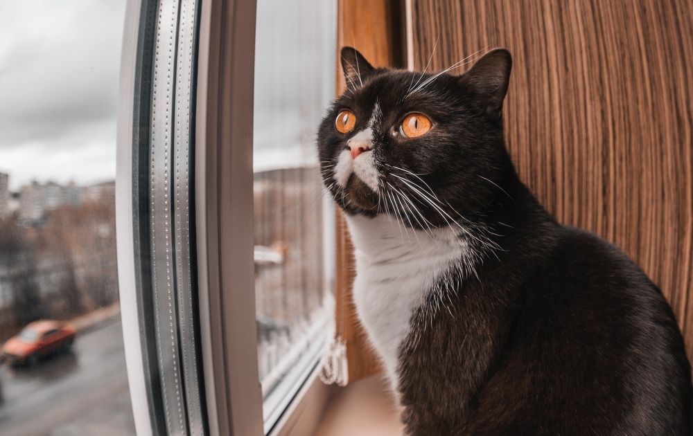 Photograph by Ксения Хачатурова