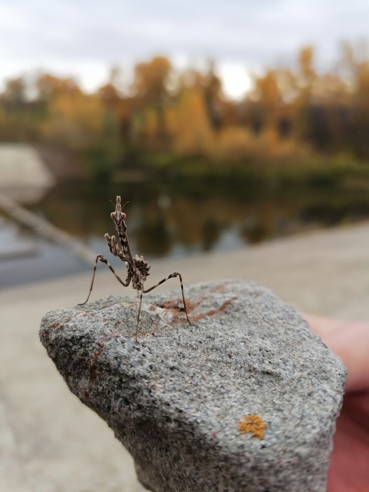 Photograph by Рифат Махмутов