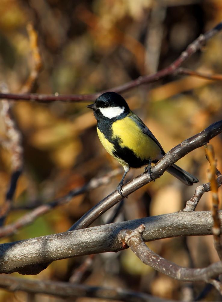 Photograph by Юрий Варюхин