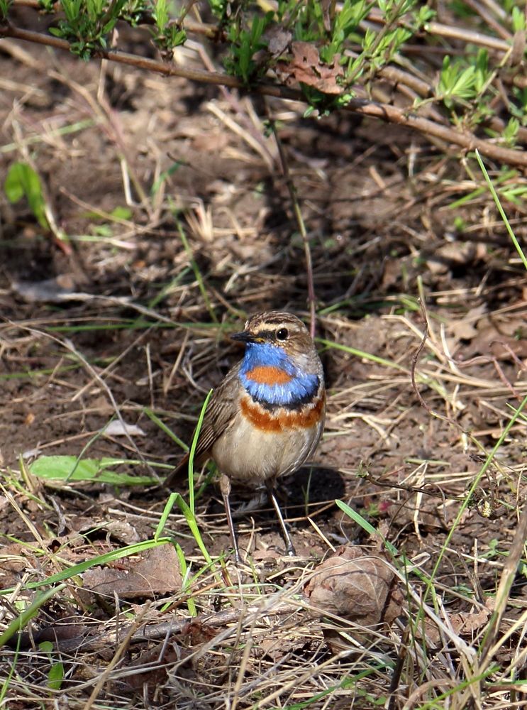 Photograph by Юрий Варюхин