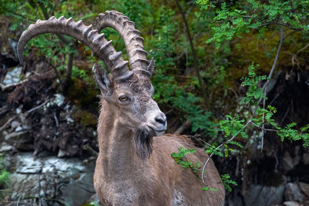 Photograph by Роман Афанасьев