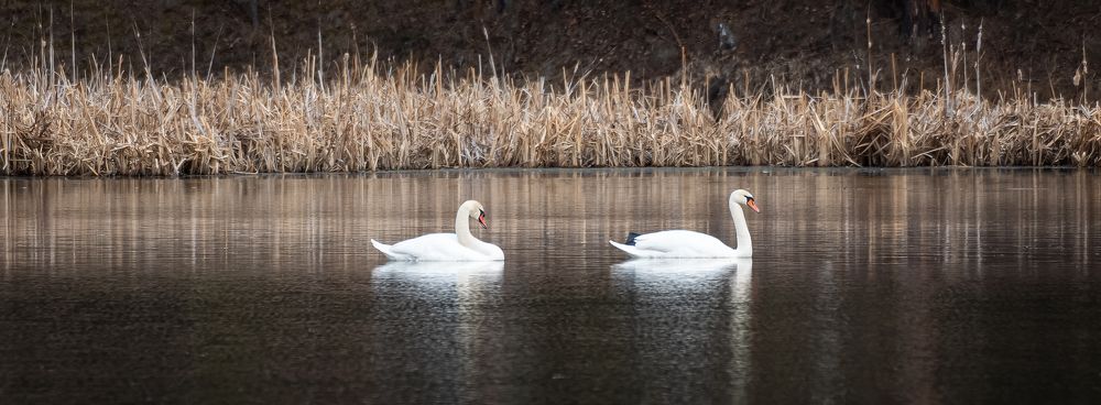 Фотография автора Александр Рудный
