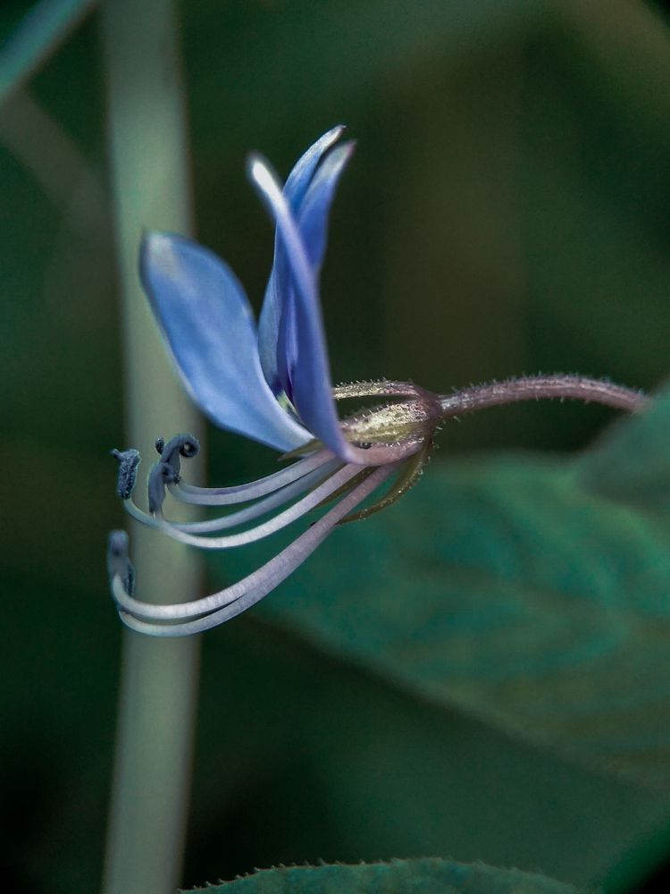 Photograph by Feri Fikri