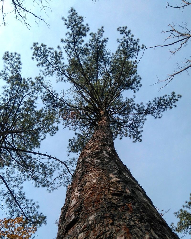 Фотография автора sose