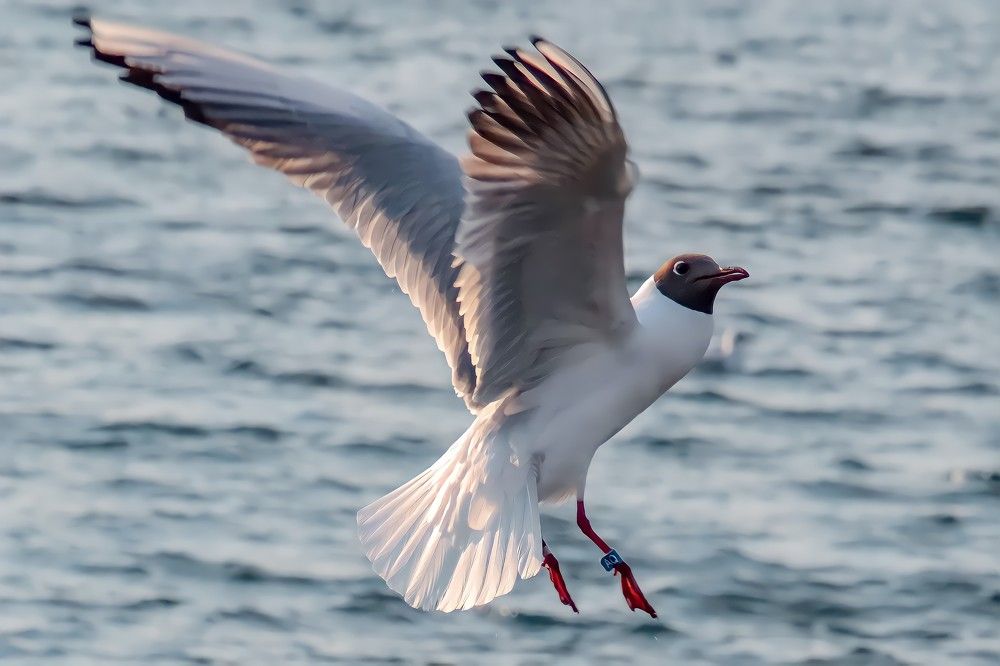 Photograph by Anna Solomina