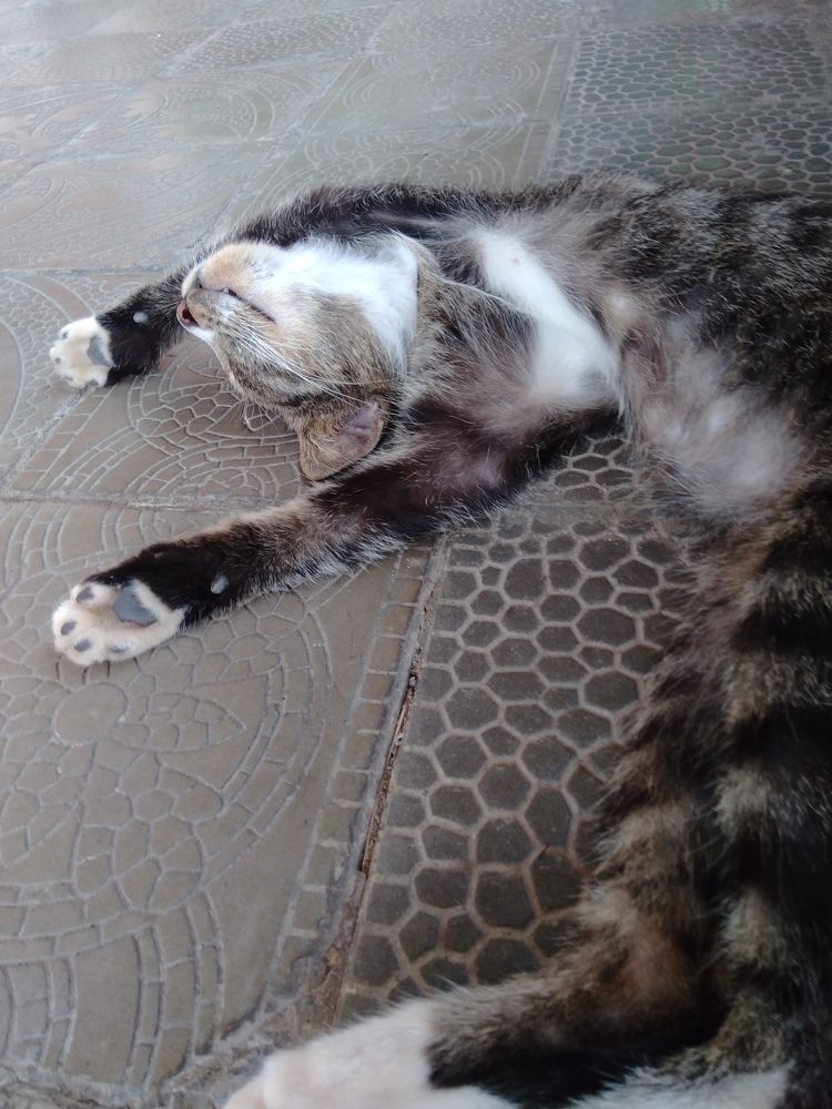 Photograph by Feri Fikri