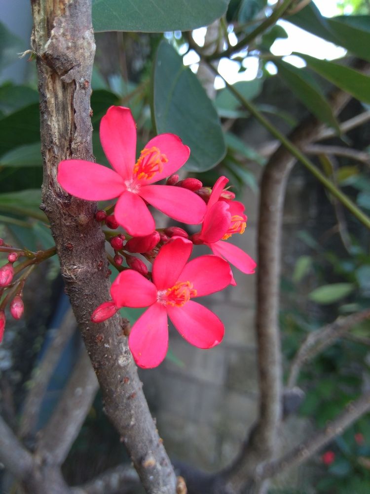 Photograph by Feri Fikri