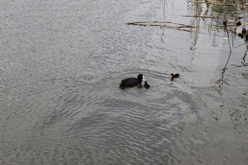 Photograph by Елена Кузнецова