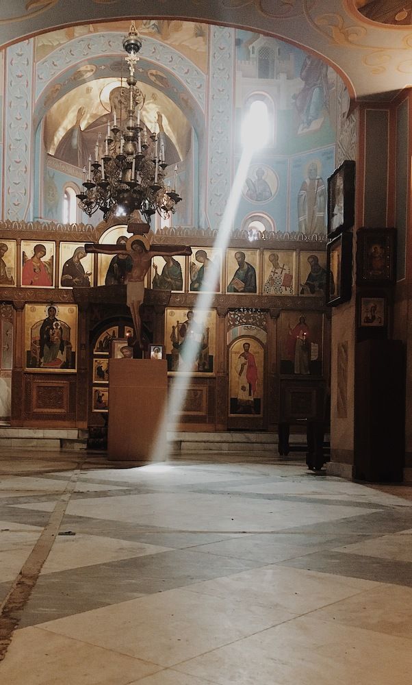 Фотография автора Балановская Виктория