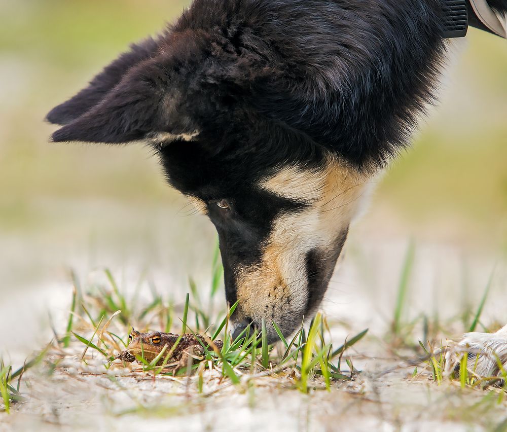 Фотография автора Yulia  Maximova