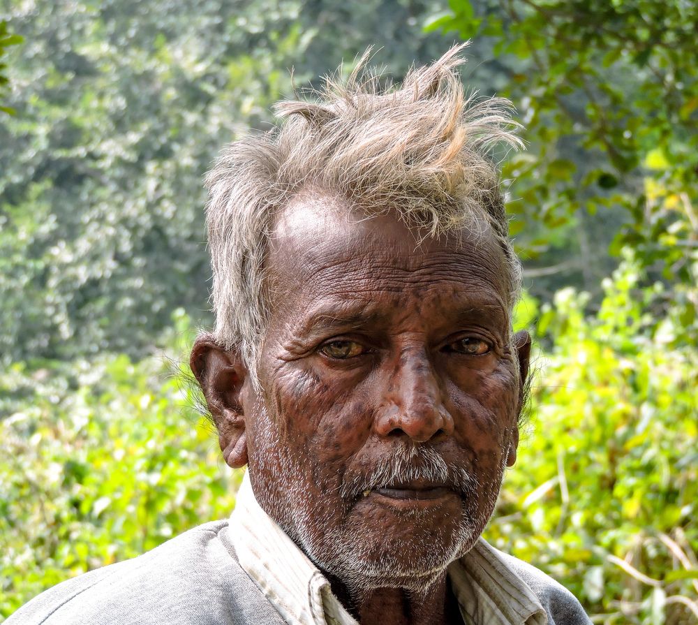 Photograph by Rajarshi Ghosh