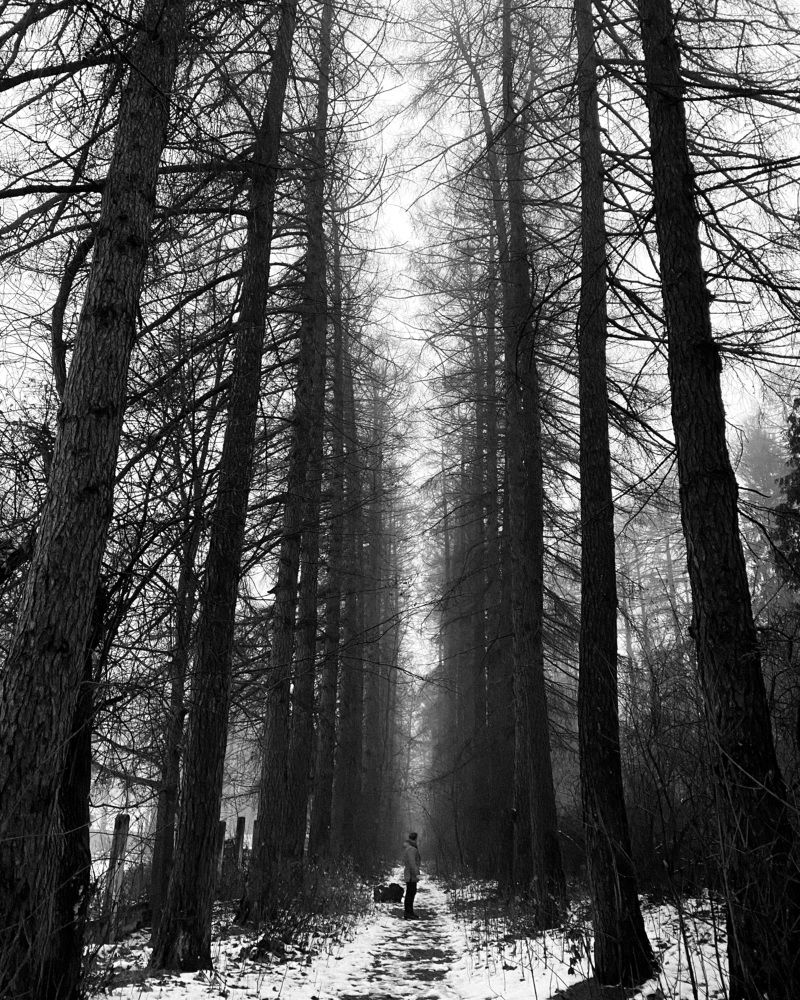 Photograph by Марина Роик