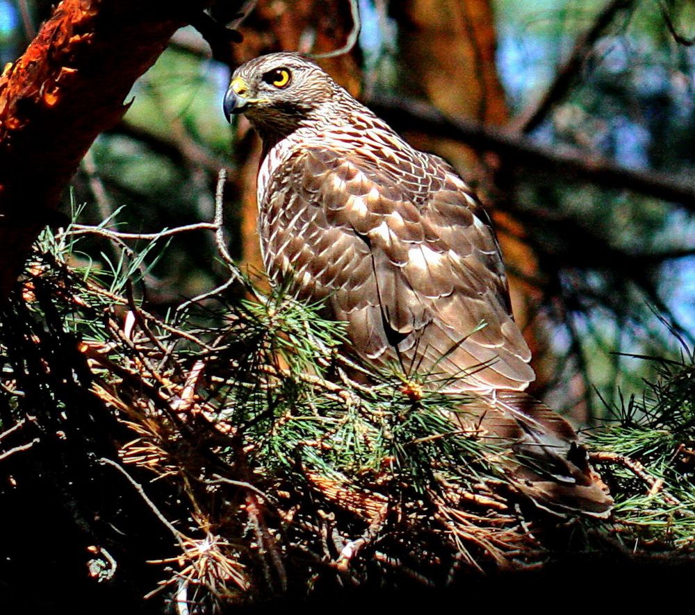 Photograph by вячеслав милов