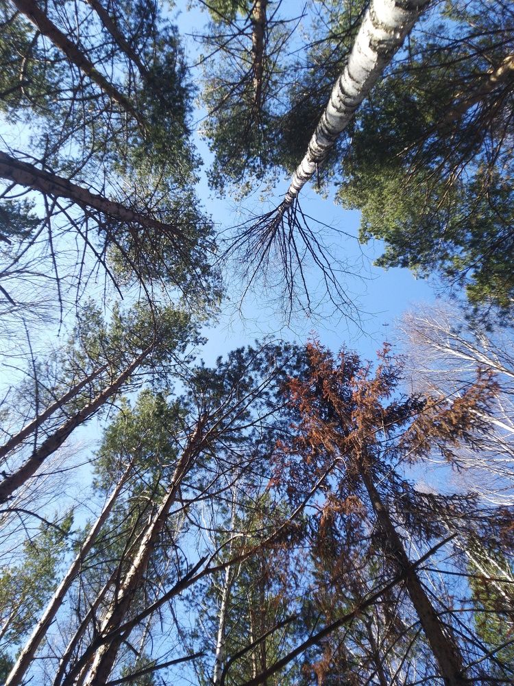 Photograph by Наталья Шулятина