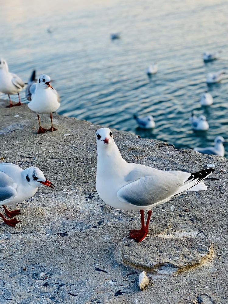 Photograph by Ольга Левенец