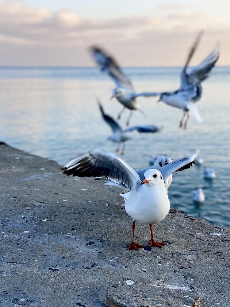 Photograph by Ольга Левенец