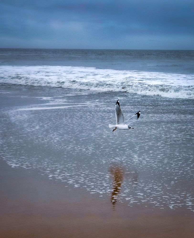 Photograph by Виктория Федосеенко