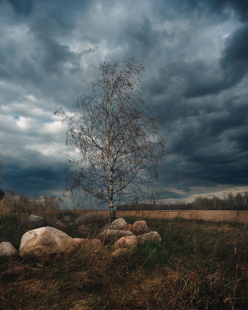 Photograph by Aliaksei Shandalin