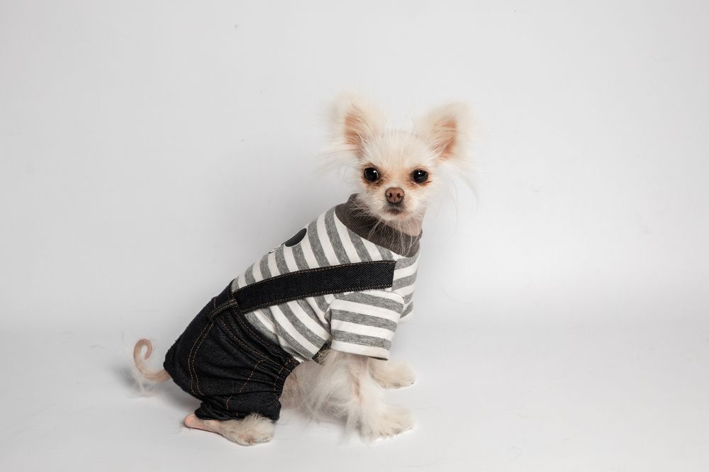 Photograph by Оксана Шаяхметова