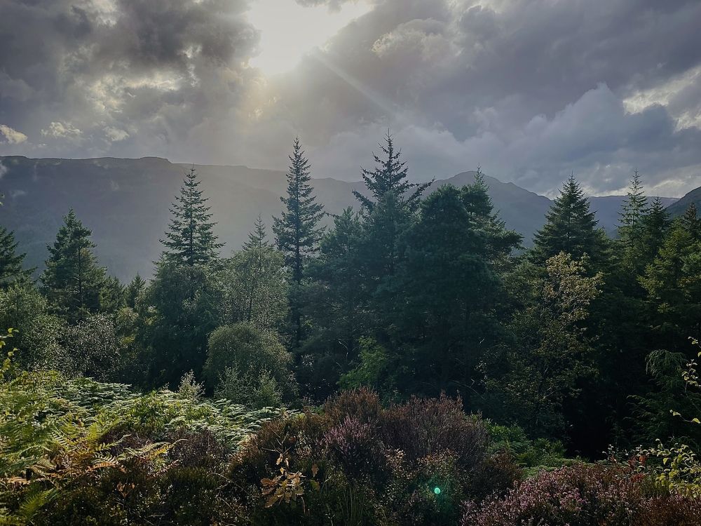 Photograph by Aleksandra Truhane