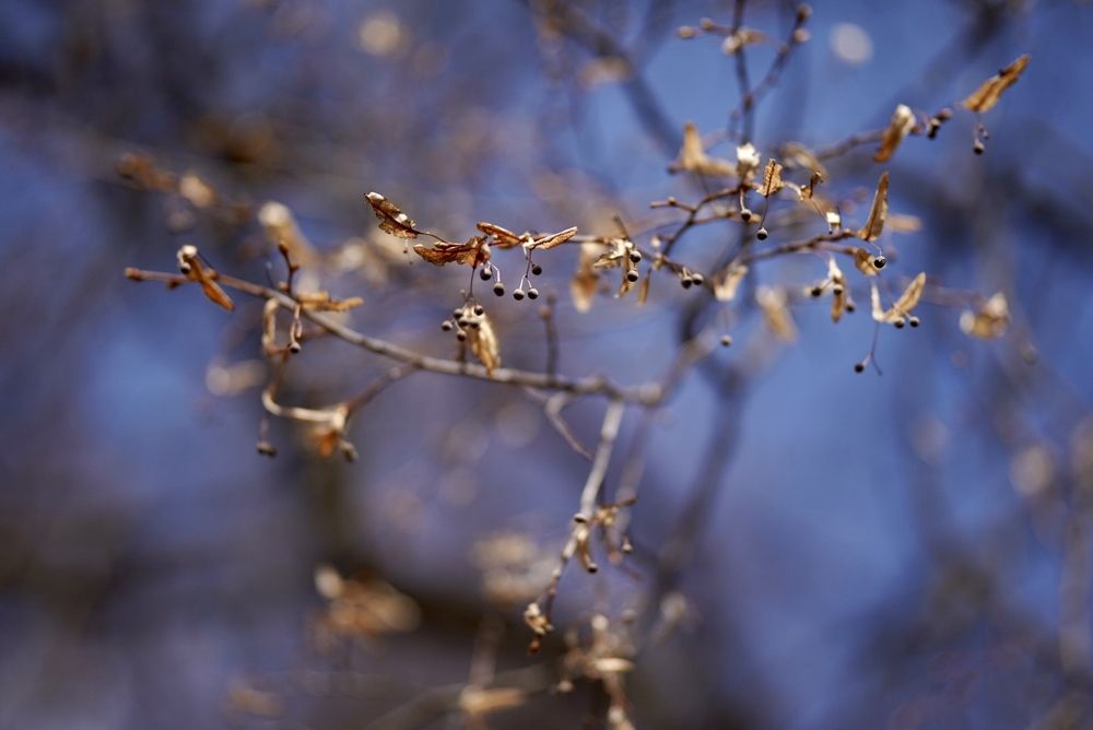 Photograph by Renata Frolkina