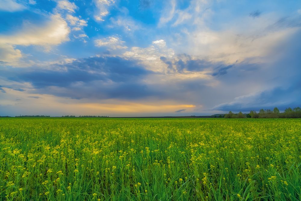 Photograph by Сергей Лазарев