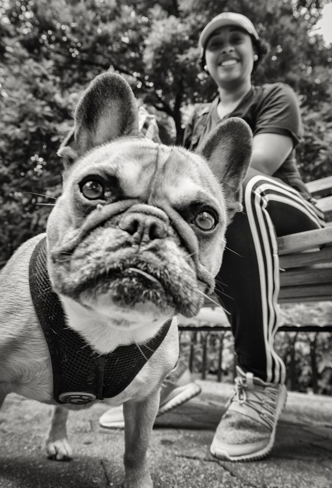 Photograph by Гребенников Сергей