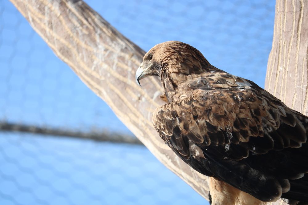 Photograph by Babak Akvan